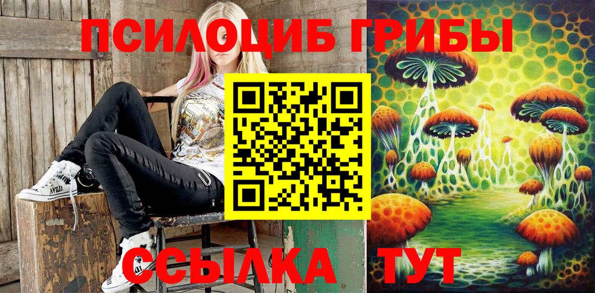 Псилоцибиновые грибы Psilocybe Гулькевичи